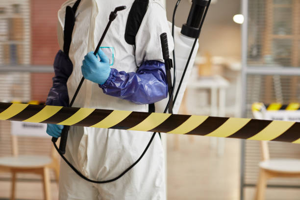 Professional Odor Removal technician working in Kearny, NJ
