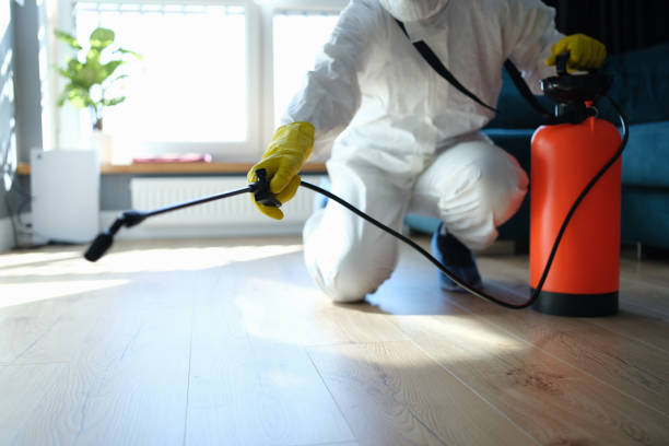 Reliable Odor Removal contractor in Kearny, NJ by Trauma Clean Pros